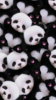 many panda bears with pink noses and black furs are grouped together in the same pattern