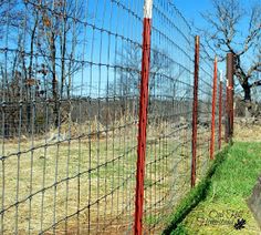 the fence is made of metal wire and has red posts on each side, along with green grass