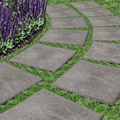 a stone path in the middle of a garden with purple flowers and grass around it