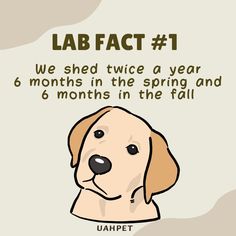 a dog with the words lab fact 1