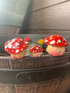 two small red mushrooms sitting on top of a potted plant