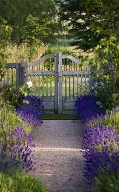 an open gate with purple flowers in the foreground