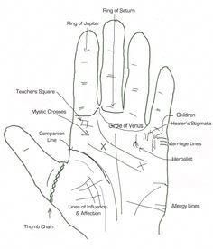 These are the handouts from my palmistry workshop. Feel Free to download them if you want. Chierognomy Jizz in Palmistry © Tchipakkan 2013 Jizz is a term I’m borrowing from birders to describe the overall impression or appearance of a bird garnered from such features as shape, posture, size and coloration (we don’t use voice,… Palm Reading Charts, Palmistry Reading, Palm Lines, Reading Charts, Face Reading, Palm Reading, Spell Book, Tarot Spreads, Book Of Shadows