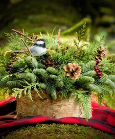 a small bird sitting on top of a basket filled with pine cones and evergreen branches