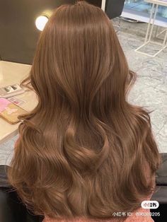 Golden Brown Hair Color, Warm Brown Hair, Chestnut Brown Hair, Golden Brown Hair, Chestnut Hair, Beige Hair, Korean Hair Color