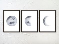 three black and white pictures hanging on a wall