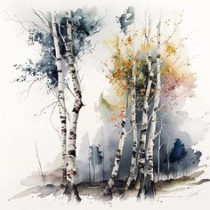 watercolor painting of trees in the woods