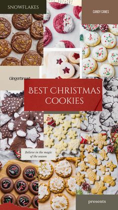 Christmas cookies Best Christmas Cookie Recipes Ever, Best Cookies For Christmas, Winning Christmas Cookies, Date Christmas Cookies, Award Winning Christmas Cookies, Different Types Of Christmas Cookies, Best Xmas Cookies, Impressive Christmas Cookies, Best Christmas Cookies Recipes Holidays