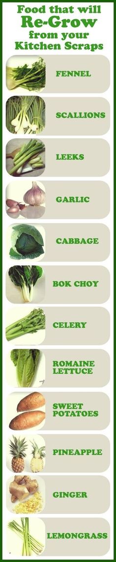 an image of different types of vegetables