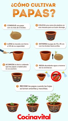 a poster with different types of plants in pots and the words, como cultivar paas?