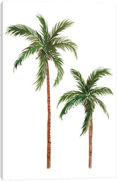 two palm trees on a white background