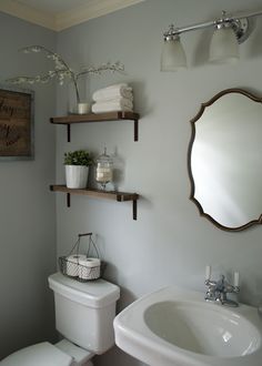 a white toilet sitting next to a bathroom sink under a large mirror on a wall