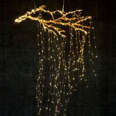 some lights that are hanging from a tree branch in the night time, with no leaves on it