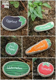 several pictures of different types of rocks with words painted on them and carrots in the middle