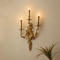 a wall light with two candles on it next to a potted plant and white wall