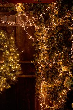 two wreaths with lights hanging from them in front of a wooden wall and door