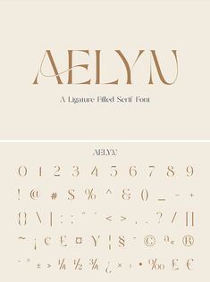 the font and numbers for aelyn, a signature - filled seril font