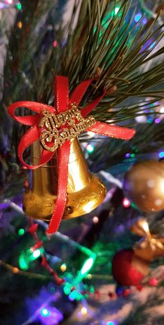 an ornament hanging from a christmas tree