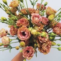 a hand holding a bouquet of pink and yellow flowers with green stems in the middle