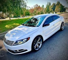 a white car is parked on the side of the road in front of some trees