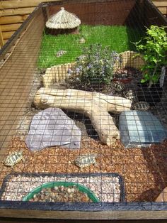 a garden with rocks, plants and gravel in a caged area on top of a wooden deck