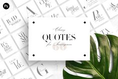 the quote is displayed on top of a white background with lots of green leaves in front of it