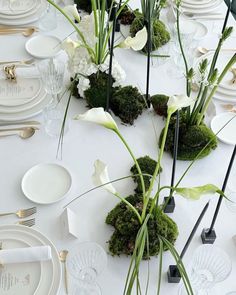 the table is set with white plates, silverware and green moss covered centerpieces