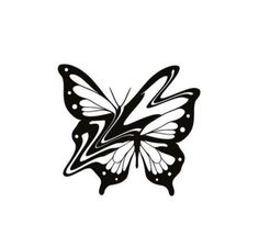 a black and white butterfly on a white background