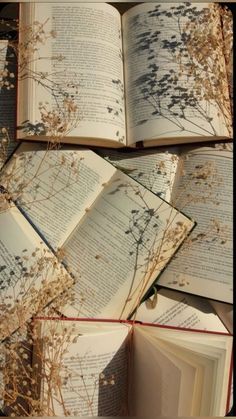 an open book sitting on top of a table next to dried flowers and plants in it