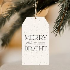 a christmas ornament hanging from a pine tree with the words merry and bright on it