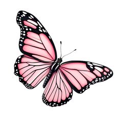 a pink butterfly flying in the air with its wings spread out and it's eyes closed