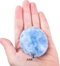 a hand holding a small blue ball with a tree on it's top and sky in the background