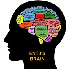 Entp Personality Type