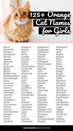 an orange cat names for girls