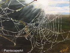 the spider web is covered in water droplets on it's web, while the sun shines through the clouds