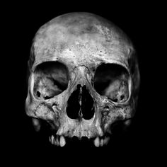 a black and white photo of a human skull