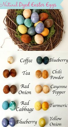 an easter egg hunt with different colored eggs in the nest and on the side, there are