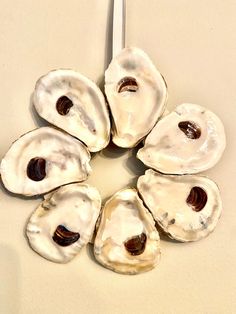 six oysters are arranged in a circle on a white surface with a toothpick