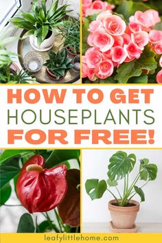 the words how to get houseplants for free on top of pictures of potted plants