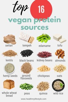 the top 16 vegan protein sources are shown in this graphic diagram, with text overlay