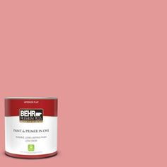 the behr paint is light blue with white trim