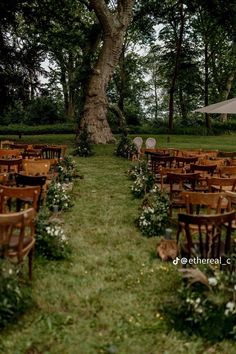 rows of wooden tables and chairs set up in front of a large tree with white flowers