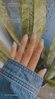 Almond French Color Tip Nails, Summer Minimal Nails, Spring Nails Almond Shape Simple, Colored French Tip Nails Squoval, Green French Tip Gel Nails, French Tip Different Colors, Pastel Green French Tip, Almond Nails French Tip Color, French Colored Tips Nails