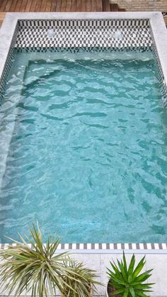 an empty swimming pool with two plants in the middle and one potted plant next to it