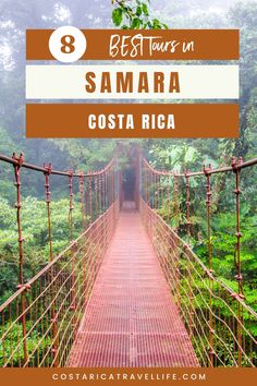 Explore the top tours in Samara, Costa Rica. From surfing to wildlife encounters, find the best activities for adventure seekers. Plan your trip now! Samara Costa Rica, Costa Rica Samara, Driving In Costa Rica, Costa Rica Animal Sanctuary, Jaguar Rescue Center Costa Rica, Rio Celeste Costa Rica