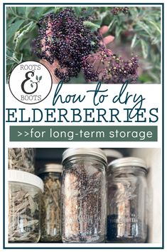 jars filled with elderberries and herbs on top of a shelf in front of the words how to dry elderberries for long - term storage