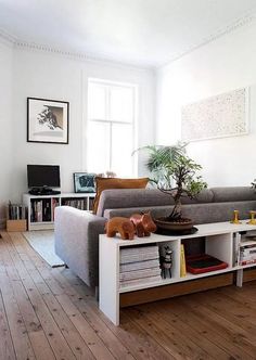 a living room filled with furniture and a potted plant on top of a table