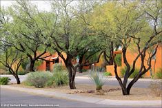 trees and shrubs line the street in front of an adobe style building with orange walls