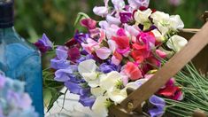 a basket filled with lots of purple and white flowers next to a bottle of water