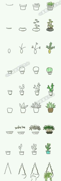 an image of different kinds of potted plants and their names on the bottom right hand side